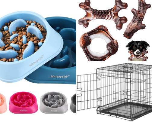 First Time Dog Owner Recommendations !!!! cover photo collage