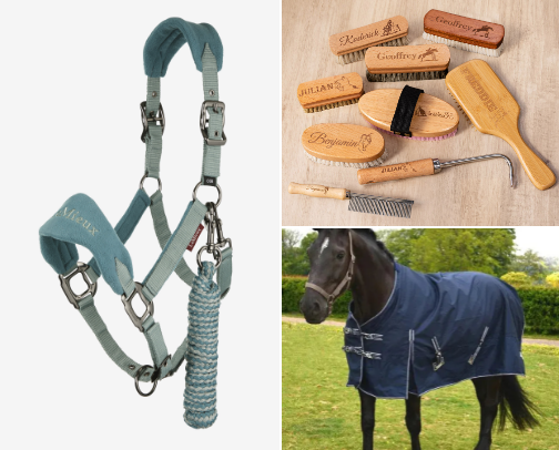 Everything a horse owner needs cover photo collage