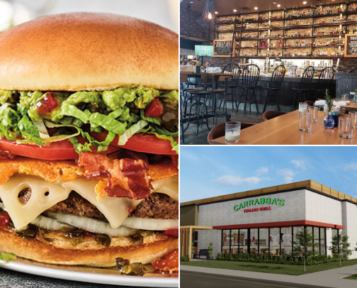 My top Webster recs cover photo collage