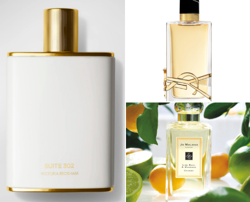 Fragrances - floral, woody and fruity cover photo collage
