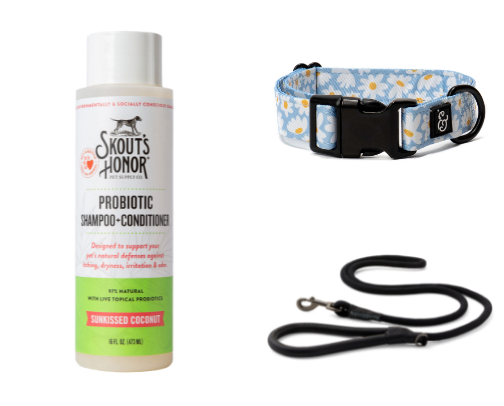 Must-Haves for Your Furry Friends cover photo collage