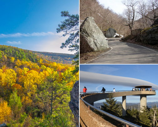 The Ultimate Fall Bucket List: Ways to Savor Autumn’s Magic 🍂🍁 cover photo collage