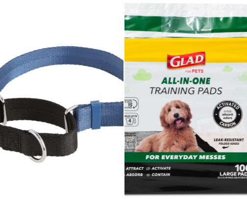 Donate to your local dog rescue! 🐶 cover photo collage