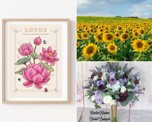 Beautiful Flower Recommendations  2025🌼 🌸 cover photo collage