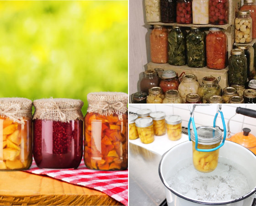 Food preservation cover photo collage