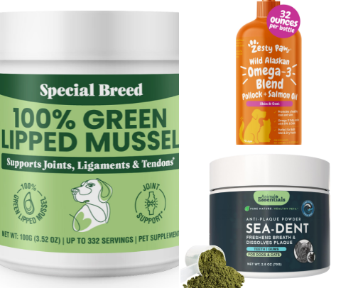 Dachshund Must Haves!! cover photo collage