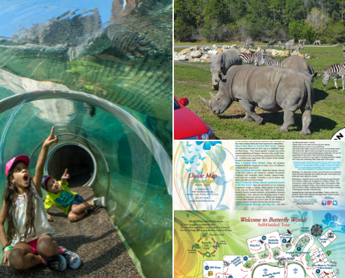 Top 15 Fun Things to Do as a Family in South Florida cover photo collage