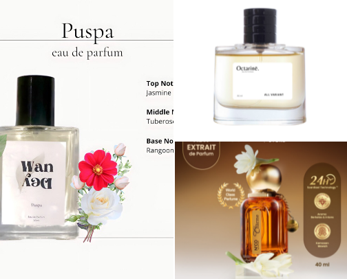 15 perfume recommendations for everyday use cover photo collage
