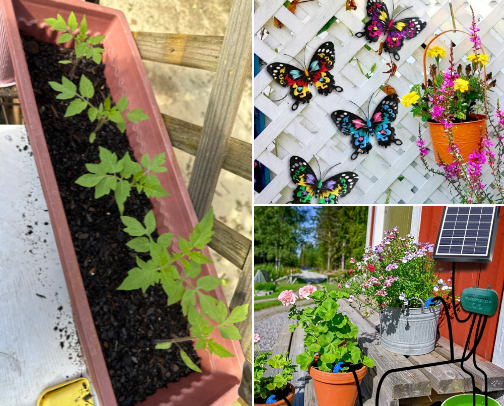 Garden cover photo collage