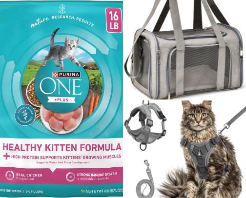 Rainbolt Maine Coon Favorites cover photo collage