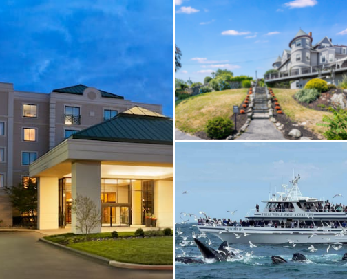 Top Travel Recs cover photo collage