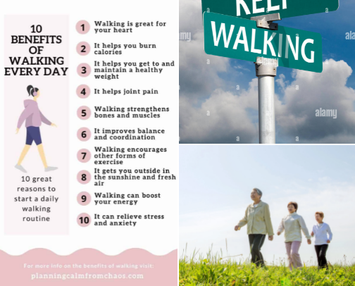 Health Journal cover photo collage