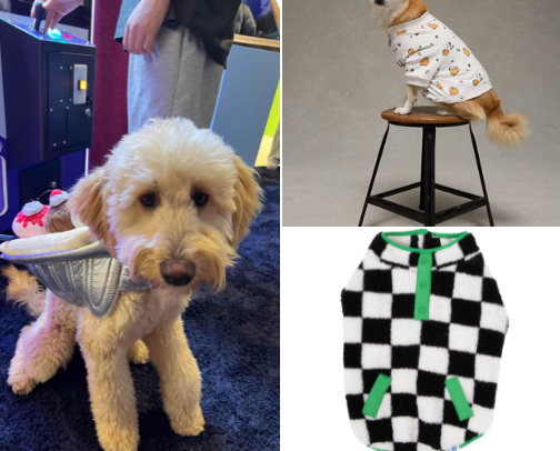 Howl-aween buys 🐶👻 cover photo collage