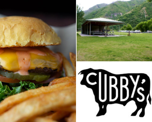 Utah County, But Make It Fun cover photo collage