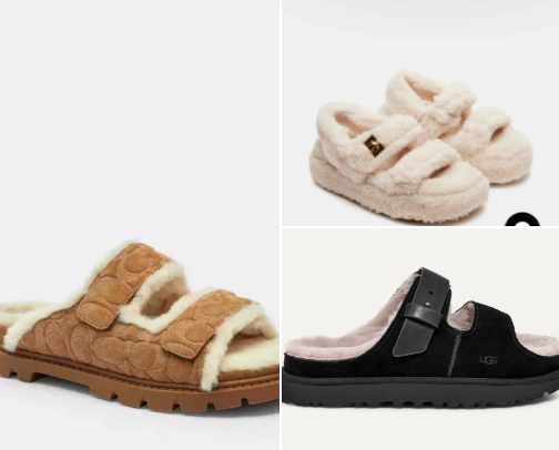 Autumn All-Stars cover photo collage