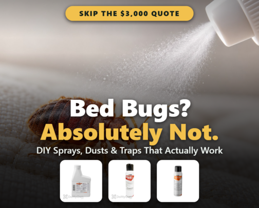 Bed Bugs? Absolutely Not. DIY Sprays, Dusts & Interceptors That Actually Work cover photo collage