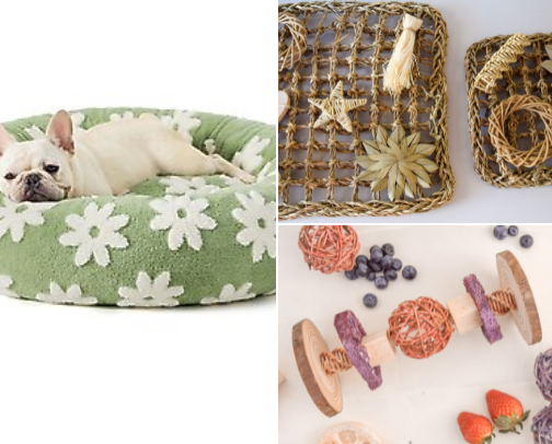 Bunny Basics & Essentials for Your Pet Rabbit cover photo collage