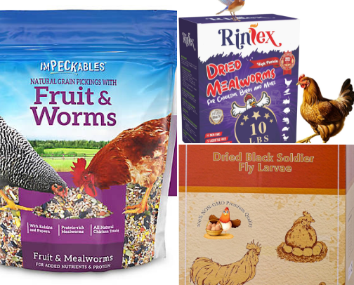 My Chickens cover photo collage