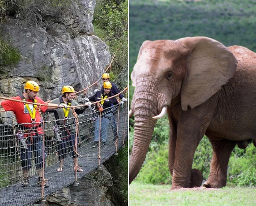 places in South Africa 🇿🇦 cover photo collage