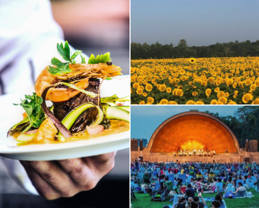 top events to attend in MA this weekend cover photo collage