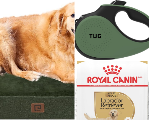 Senior Dog Products for our 9 year old chocolate Labrador cover photo collage