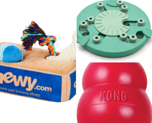 🐾 Remote Worker’s Ultimate Pet Essentials cover photo collage