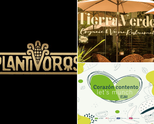 Vegan Eats in Playa Del Carmen, México cover photo collage