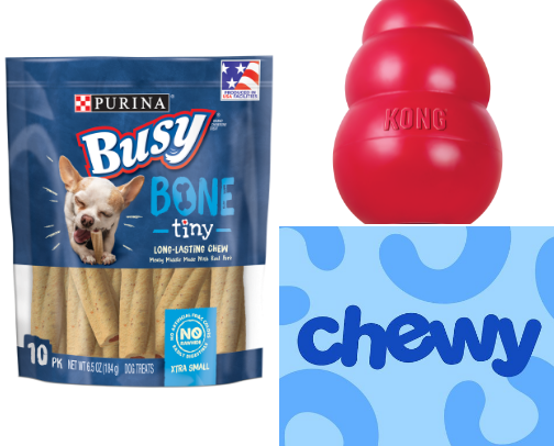 It’s a dog’s world! cover photo collage