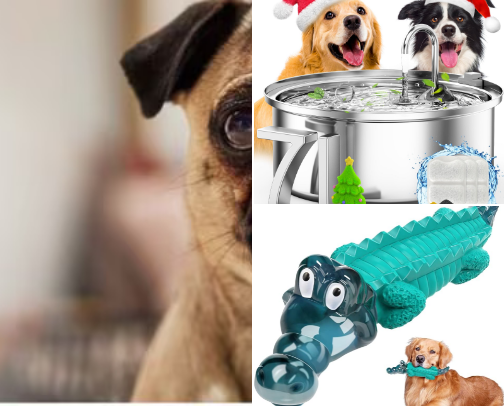 Favorite Dog Products cover photo collage