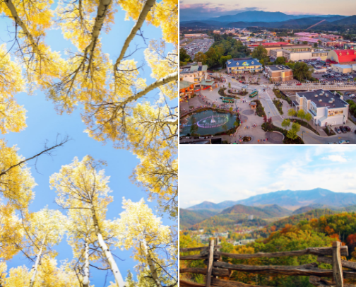 Fall is my favorite cover photo collage