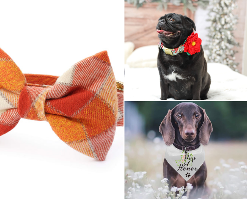 🐶 The Ultimate Guide to Including Your Dog in Your Wedding 💍 cover photo collage