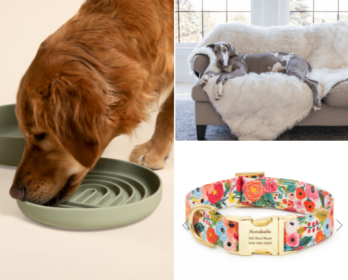 Dog Essentials !! cover photo collage