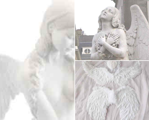 Delicate Angel ! 🪽 cover photo collage