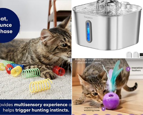 Pet supplies cover photo collage