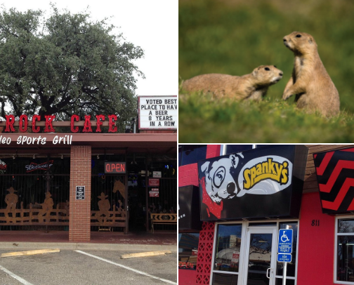 West TX Recs cover photo collage