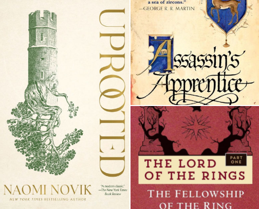 Fantasy boks I wish I could read again for the first time! cover photo collage
