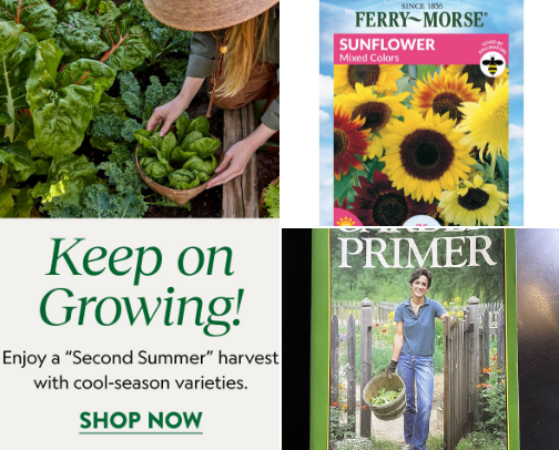 My Favorite Garden Things: Tools, Seeds & Books cover photo collage