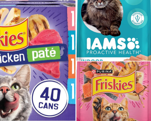 Amazon's Best-Selling Cat Essentials cover photo collage