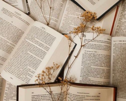 📚IF YOURE DOOMSCROLLING YOU MIGHT ASWELL READ THESE BOOKS📚 cover photo collage