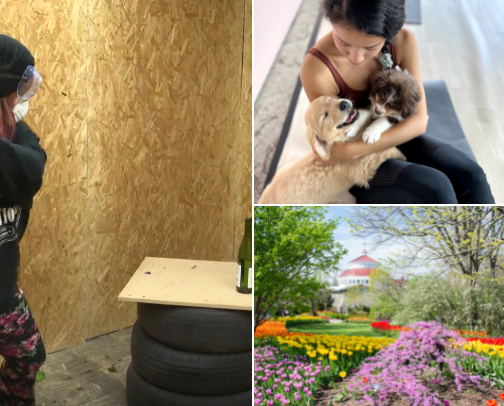 Things to do near Cincinnati cover photo collage