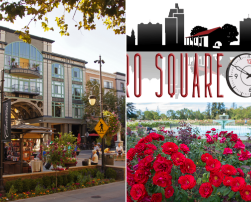 10 Things to Do in the Bay Area You’ll Actually Enjoy 🌉✨ cover photo collage