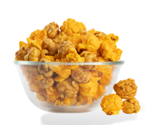Gourmet Popcorn Picks For Leo cover photo collage