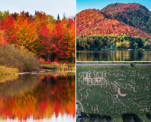 All Things Fall - My Favorite Ways To Enjoy The Season cover photo collage
