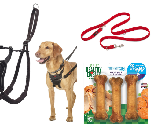 Puppy Needs cover photo collage