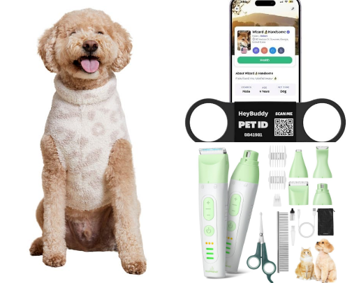“Luxury for Paws & Claws: Spoil Your Fur Baby Today” cover photo collage