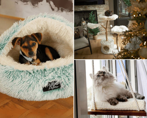 Pet furniture 😍 cover photo collage