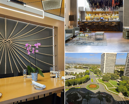 Hotels in California Reviews cover photo collage