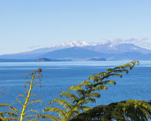Stunning Lake Taupo, New Zealand. cover photo collage
