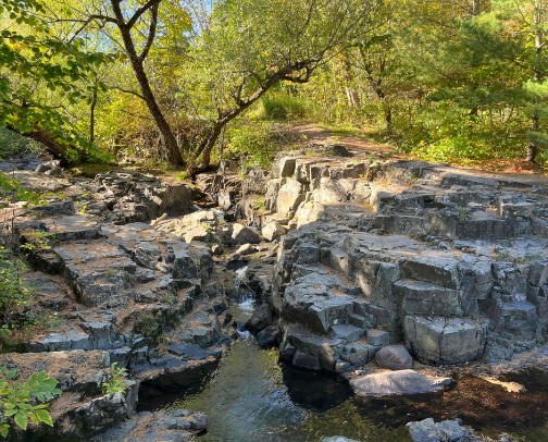 Best Fidgets cover photo collage