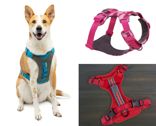 Best Gear for Australian Shepherds and Active Working Dogs cover photo collage